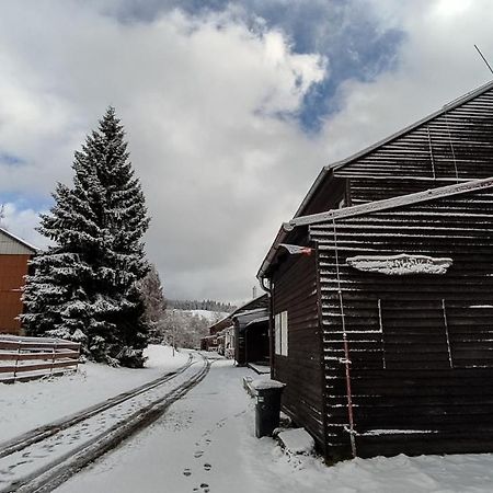 Penzion apartmány Aninka Mariánská Kültér fotó